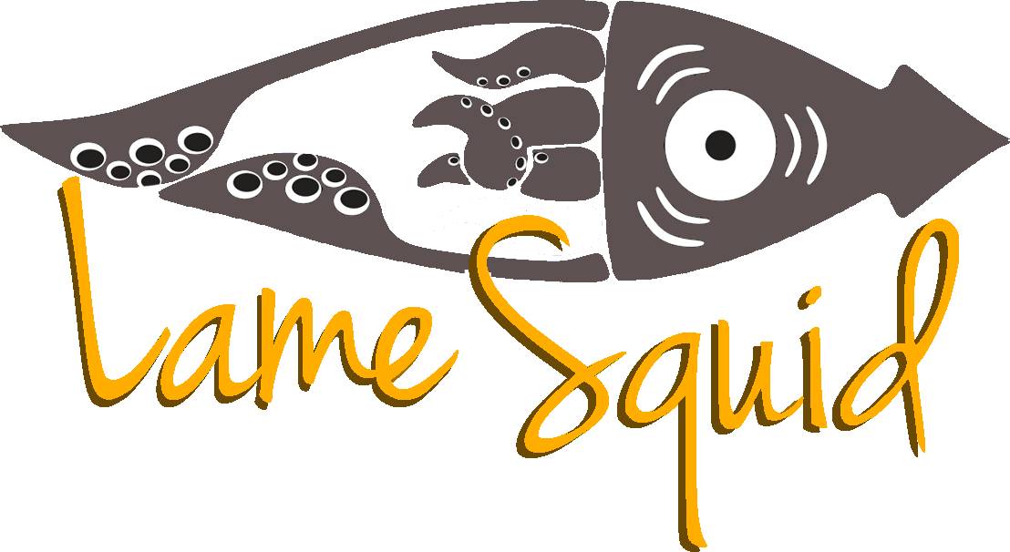 Le groupe de musique irlandaise Lame Squid