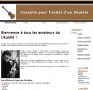 Conseils pour l'achat d'un Ukulélé